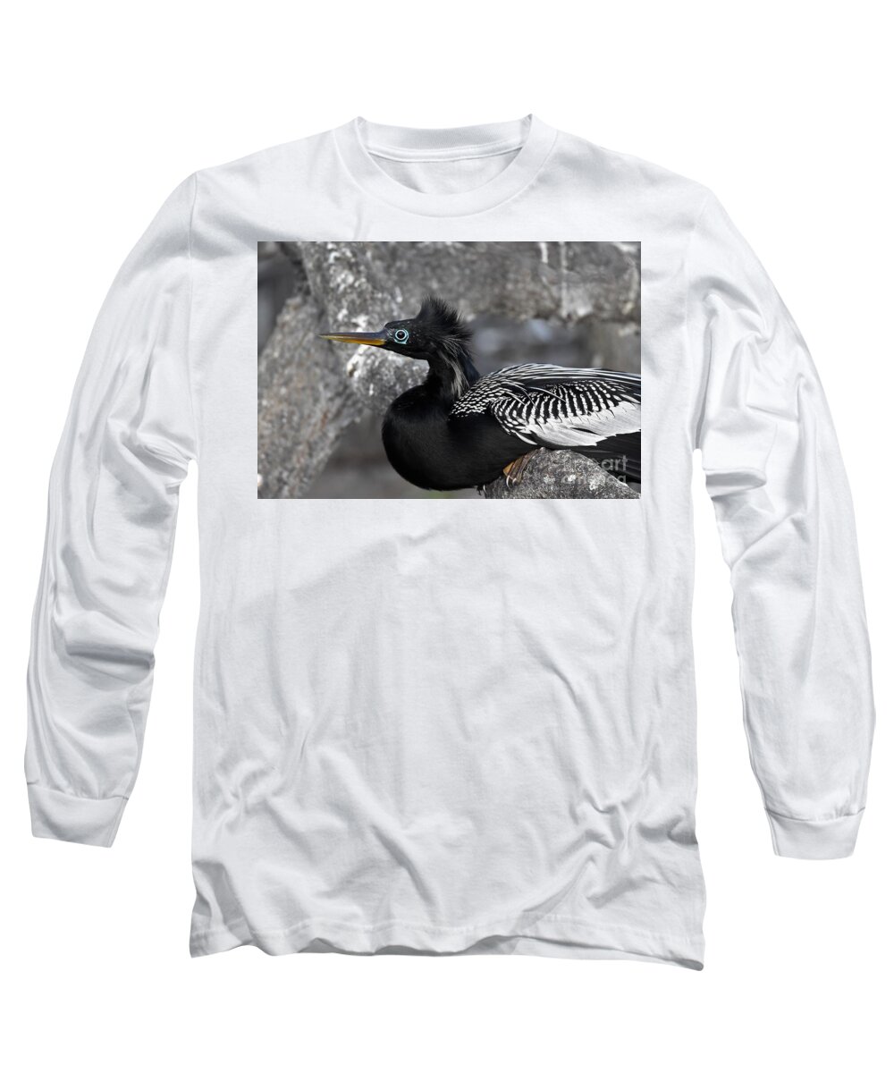 Anhinga Long Sleeve T-Shirt featuring the photograph Anhinga On A Limb by Julie Adair