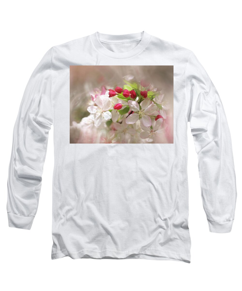 Apple Buds Long Sleeve T-Shirt featuring the photograph Apple Buds by Evelyn Tambour