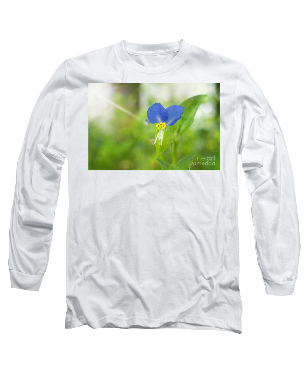 Floral Long Sleeve T-Shirt featuring the photograph Asiatic Day Flower Nature / Floral / Botanical Photograph by PIPA Fine Art - Simply Solid