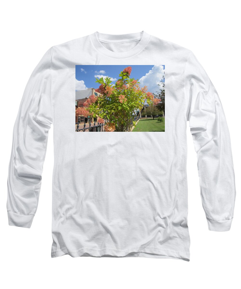Photography Long Sleeve T-Shirt featuring the painting Attractive flowering Tree by Glenda Crigger