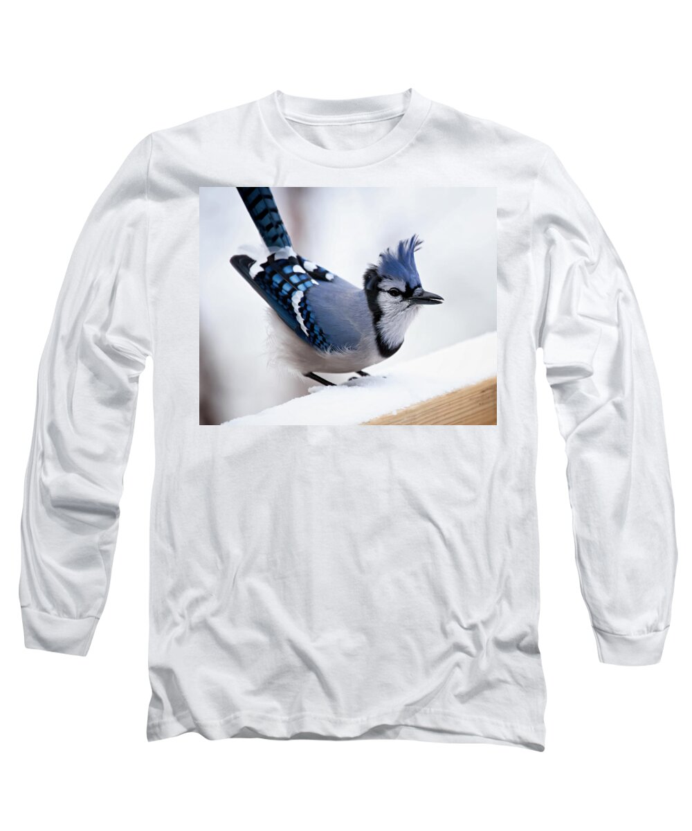 Blue Jay' Long Sleeve T-Shirt featuring the photograph Bad feather day by Al Mueller