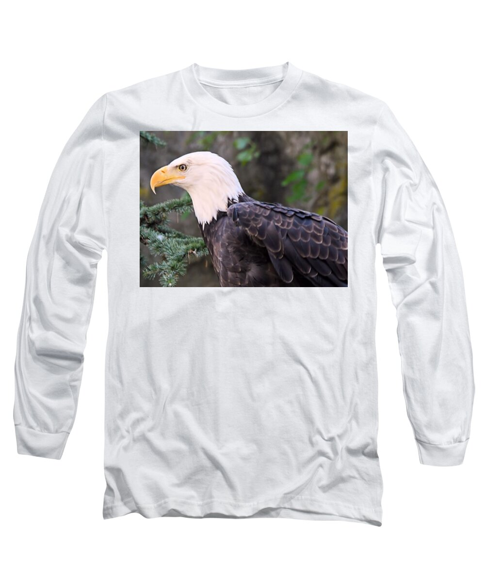 Nature Long Sleeve T-Shirt featuring the photograph Bald Eagle 2 by Charles HALL
