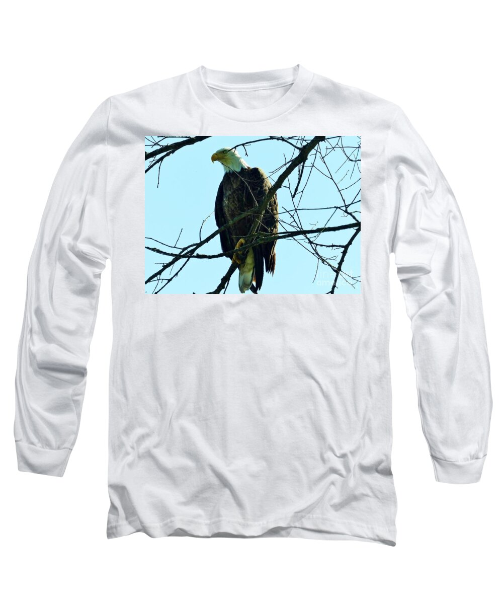 Eagle Long Sleeve T-Shirt featuring the photograph Bald Eagle Over The Root River by Rosanne Licciardi
