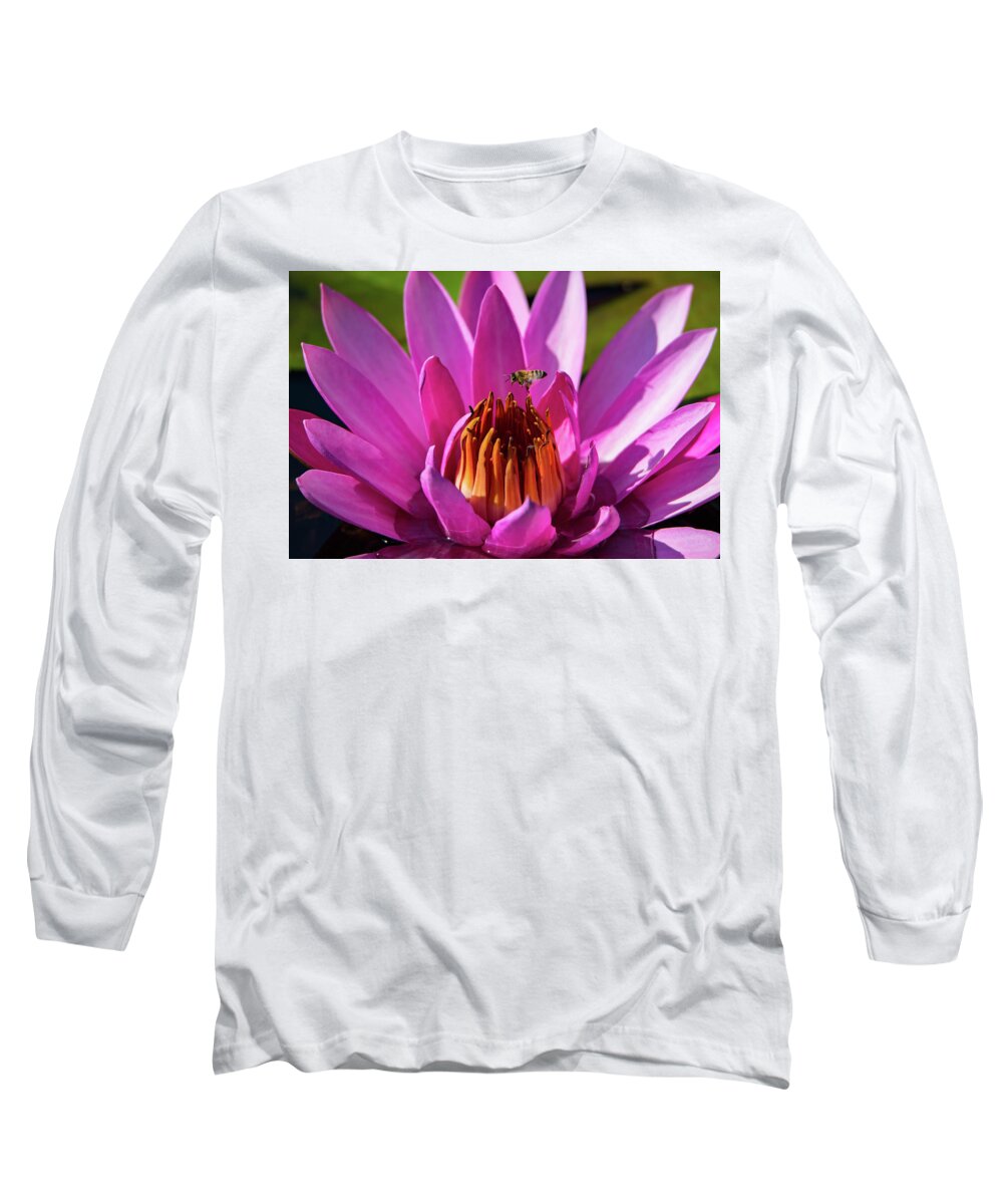 Bee Long Sleeve T-Shirt featuring the photograph Bee Hovering Over Pink Water Lily by Artful Imagery