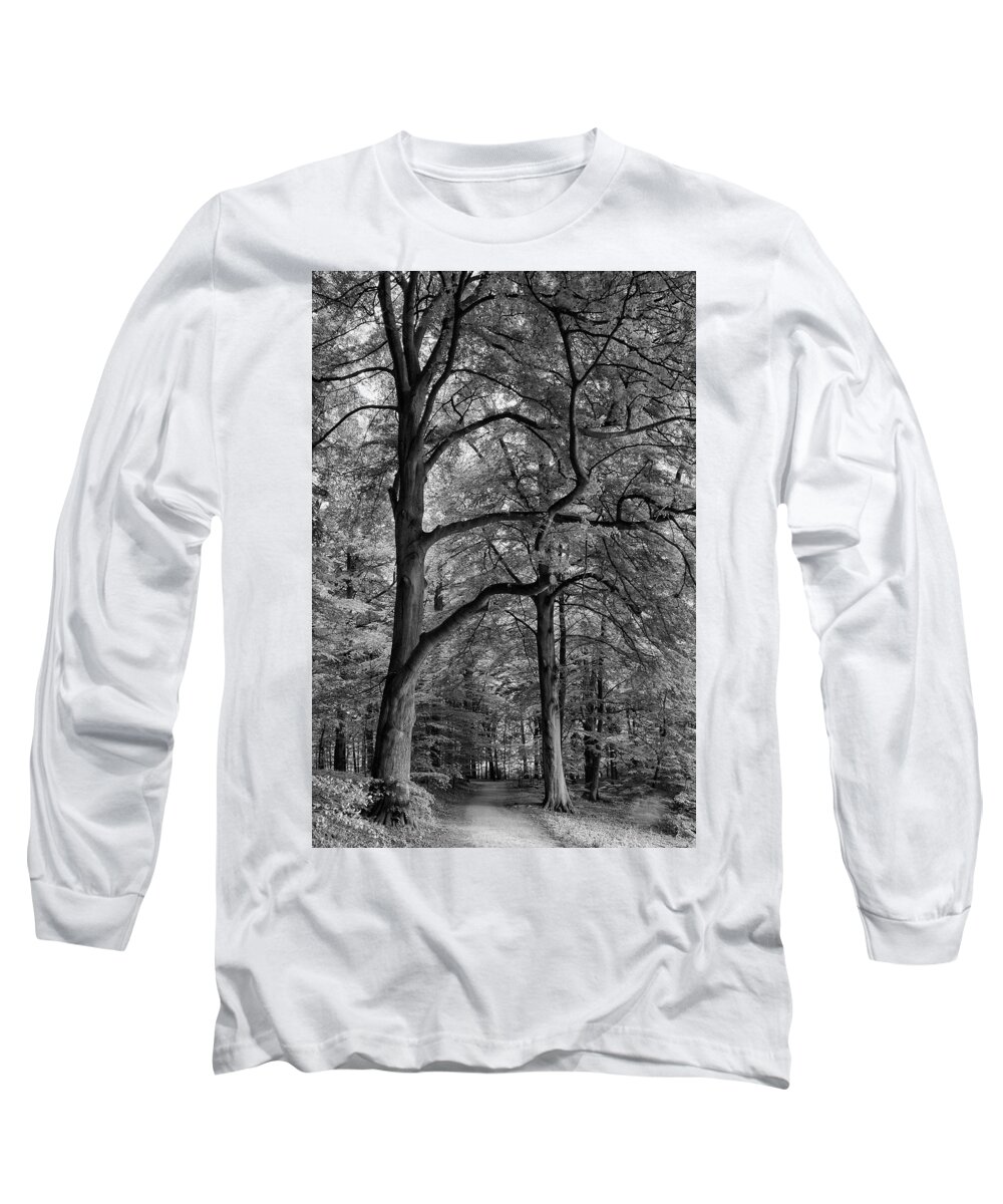 Forest Long Sleeve T-Shirt featuring the photograph Beech Forest - 365-222 by Inge Riis McDonald