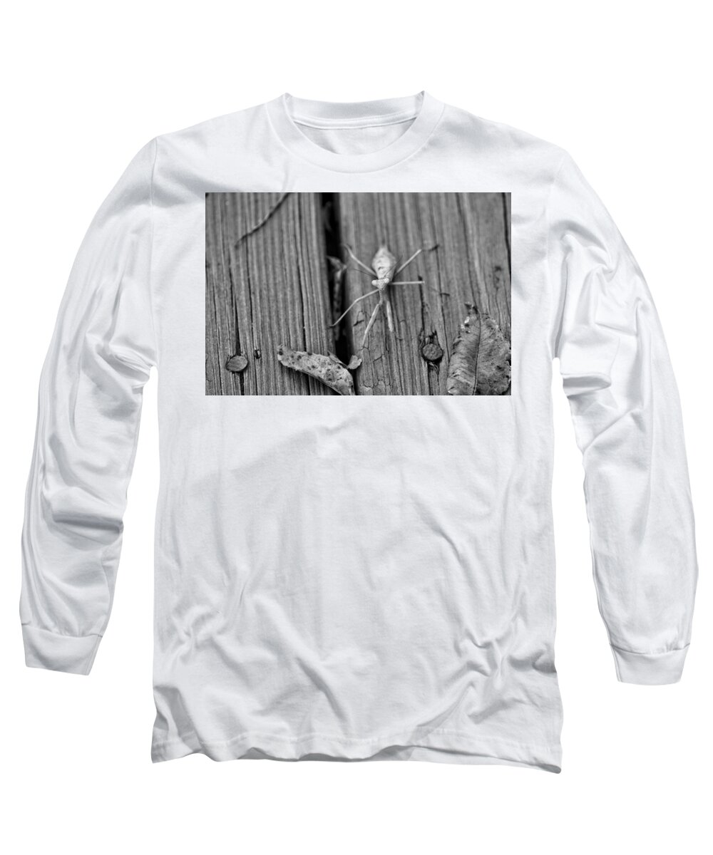 Mantis Long Sleeve T-Shirt featuring the photograph Being Judged by Joseph Caban