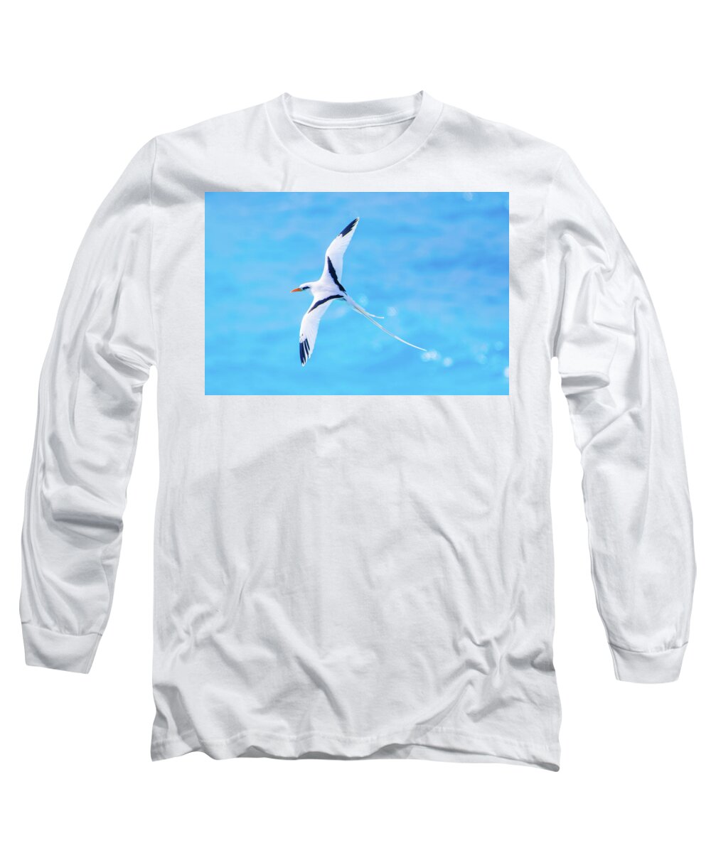 2018 Long Sleeve T-Shirt featuring the photograph Bermuda Longtail Close-up by Jeff at JSJ Photography