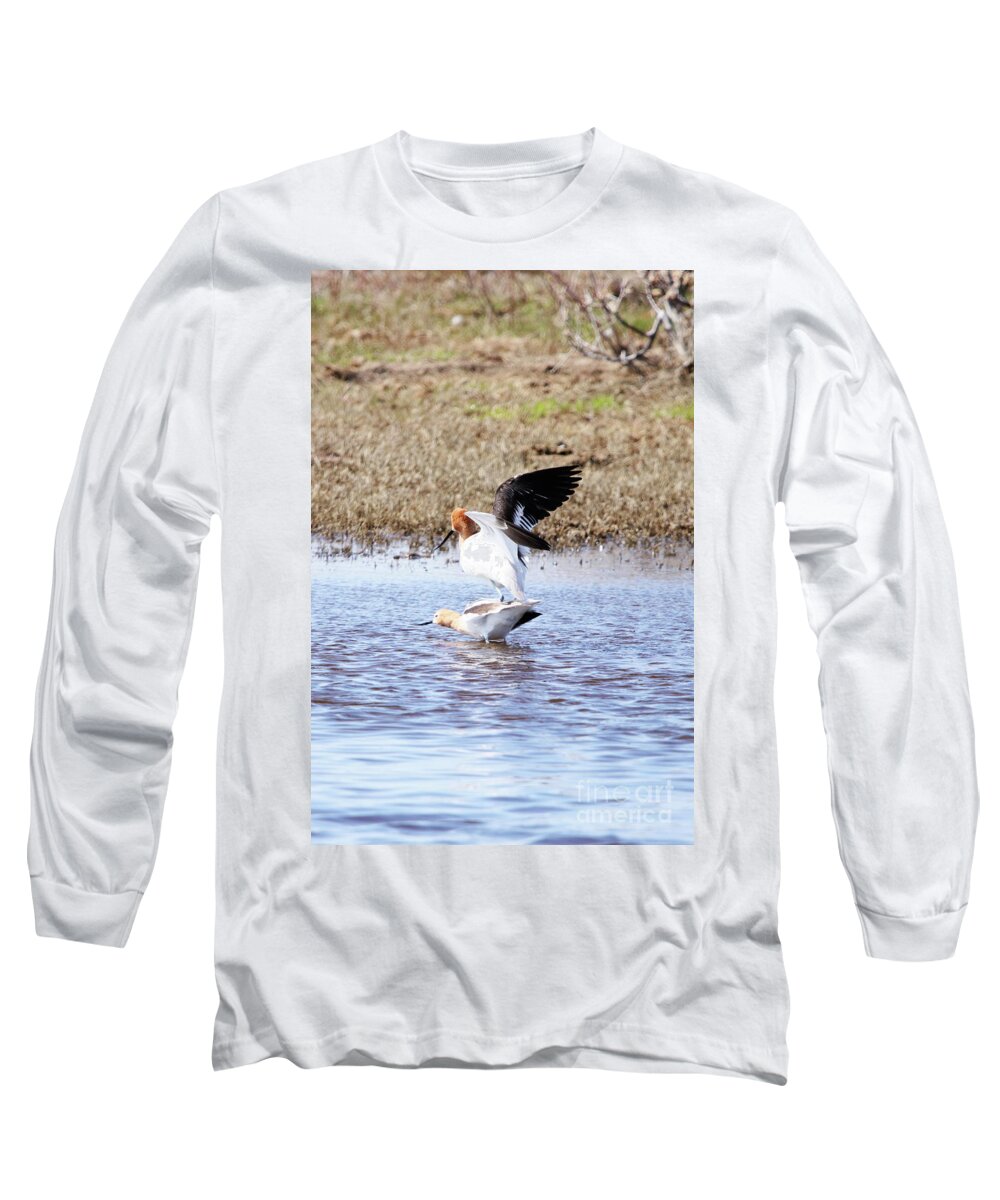 Birds Do It Long Sleeve T-Shirt featuring the photograph Birds Do It by Alyce Taylor