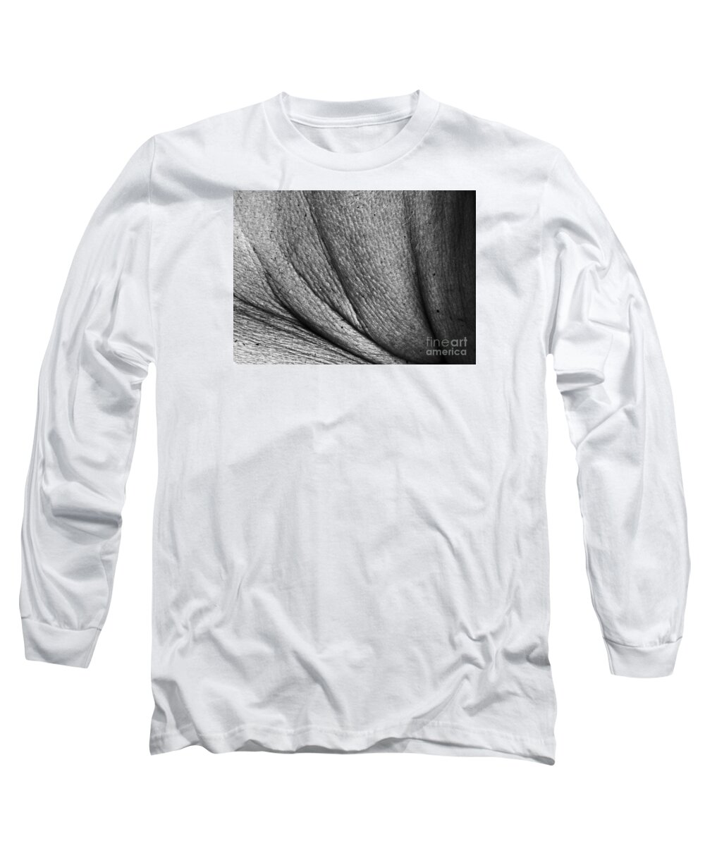 Black And White Long Sleeve T-Shirt featuring the photograph Black and White Curved Angles by David Frederick