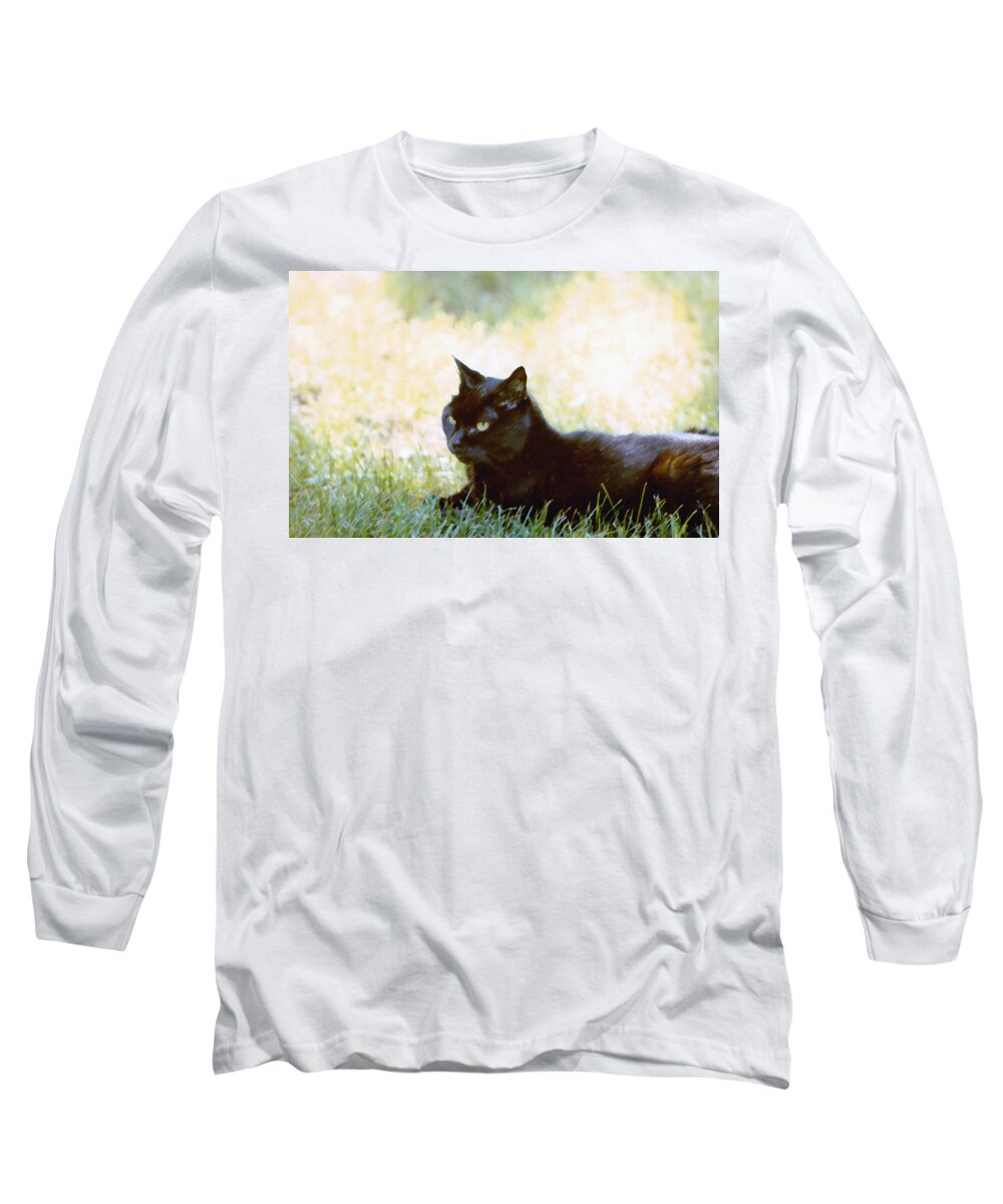 Black Cat Long Sleeve T-Shirt featuring the photograph Black Cat in the Sun by Geoff Jewett