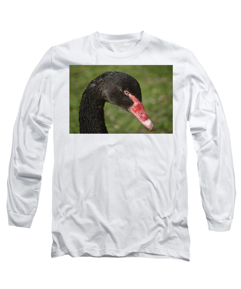 Bird Long Sleeve T-Shirt featuring the photograph Black Swan Portrait by Adrian Wale