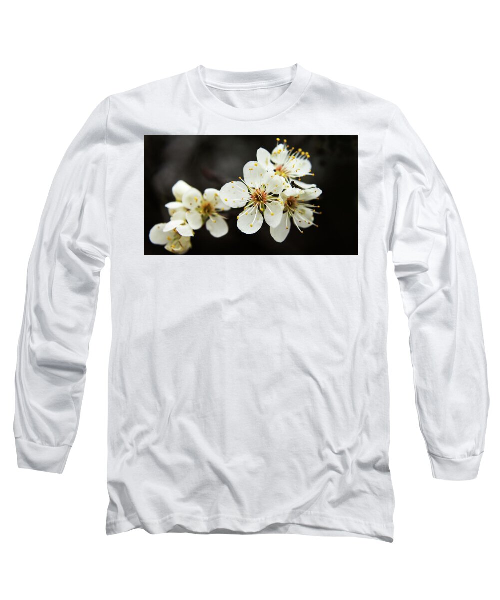 Trees Long Sleeve T-Shirt featuring the photograph Blossoms of Spring by Holly Ross