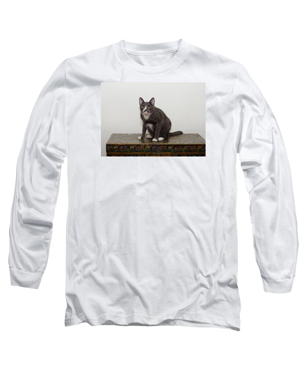 Grey And White Cat Long Sleeve T-Shirt featuring the photograph Blue 1 by Irina ArchAngelSkaya