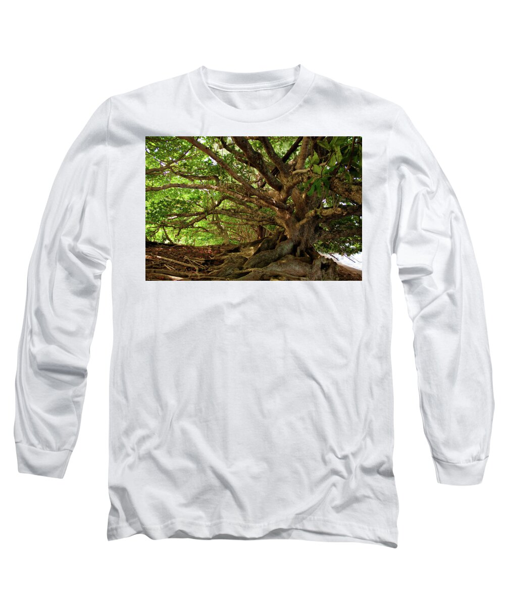 Branches Long Sleeve T-Shirt featuring the photograph Branches And Roots by James Eddy