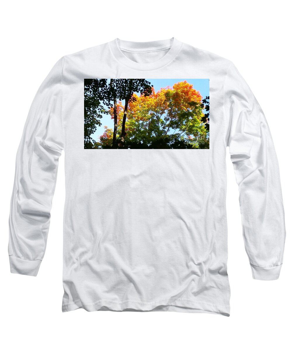 Brightest Tree In The Forest Long Sleeve T-Shirt featuring the photograph Brightest Tree In The Forest by Paddy Shaffer