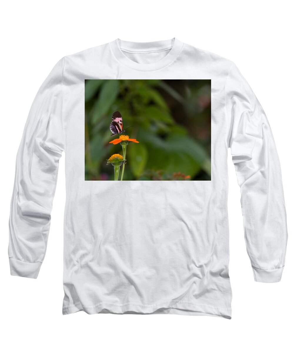 Butterfly Long Sleeve T-Shirt featuring the photograph Butterfly 26 by Michael Fryd
