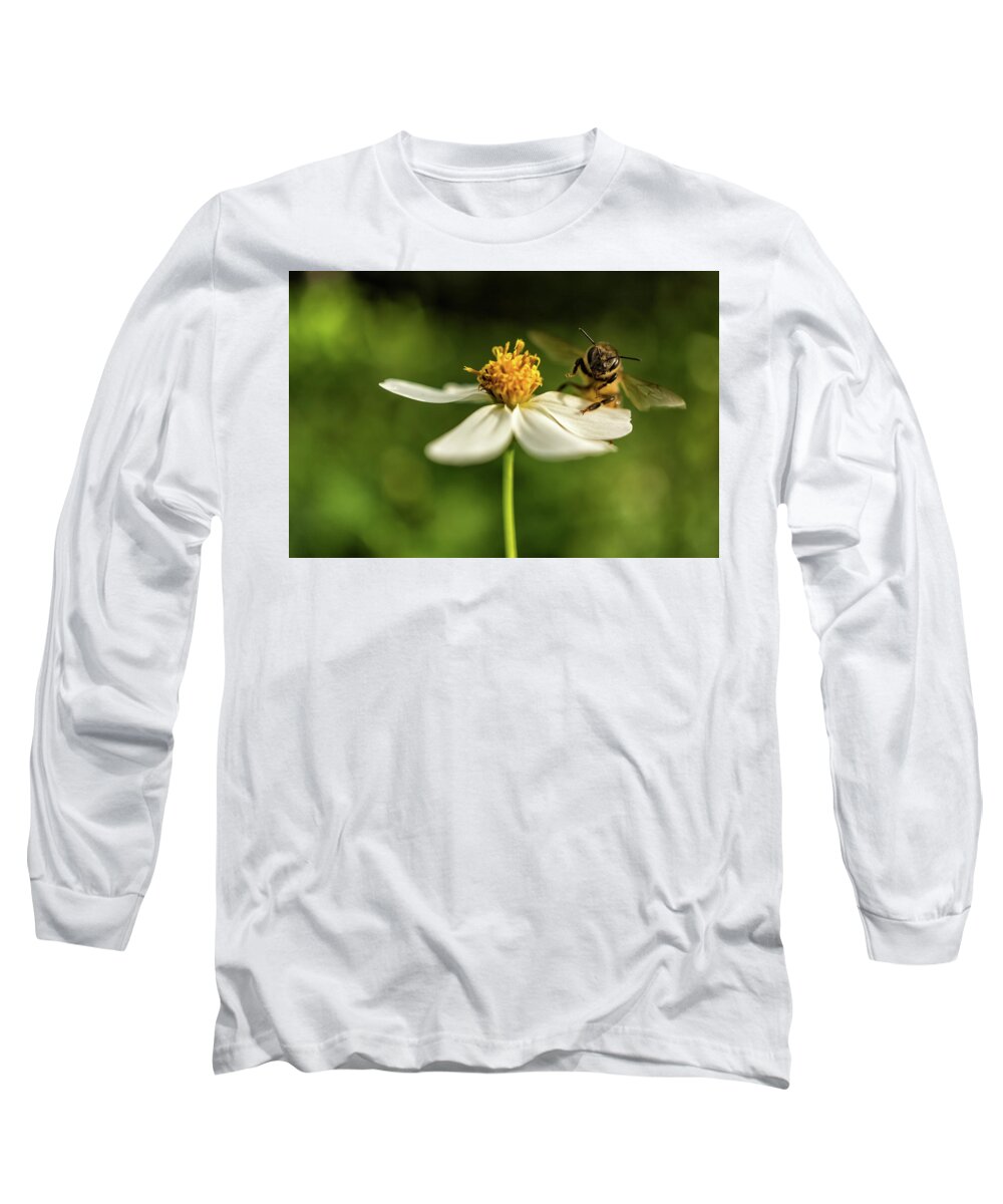 Flowers Long Sleeve T-Shirt featuring the photograph Buzz Off by Louise Lindsay
