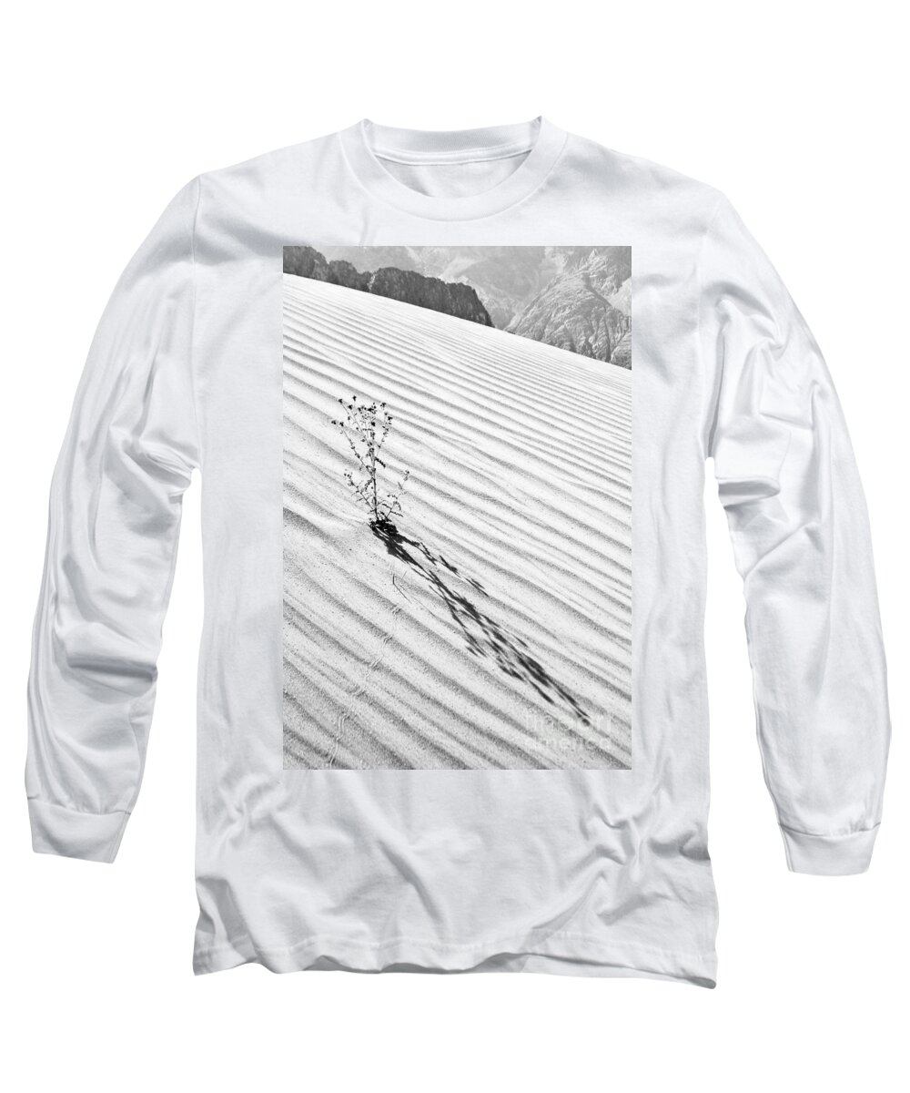 Cactus Long Sleeve T-Shirt featuring the photograph Cactus in Desert by Hitendra SINKAR