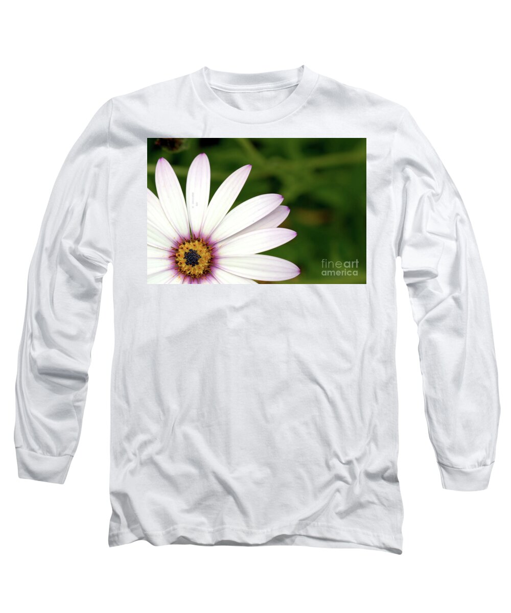 Flower Long Sleeve T-Shirt featuring the photograph Cape Daisy by Baggieoldboy