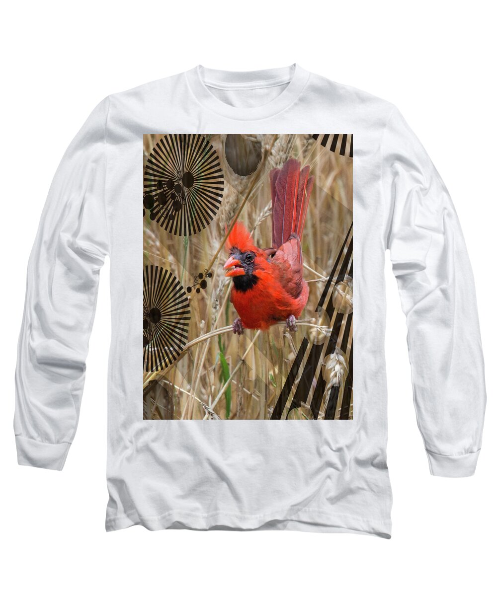 Cardinal Long Sleeve T-Shirt featuring the photograph Cardinal by Sandra Schiffner