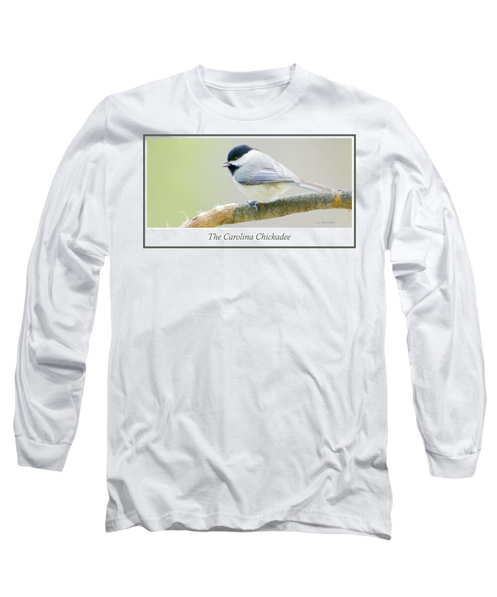 Bird Long Sleeve T-Shirt featuring the photograph Carolina Chickadee, Animal Portrait by A Macarthur Gurmankin