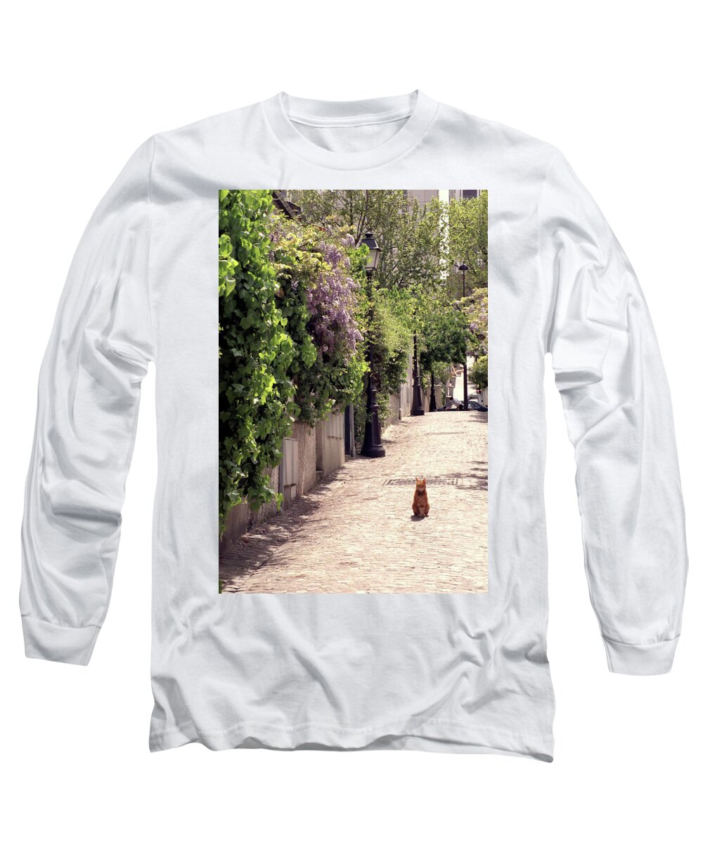 Paris Long Sleeve T-Shirt featuring the photograph Cat on Cobblestone by Frank DiMarco