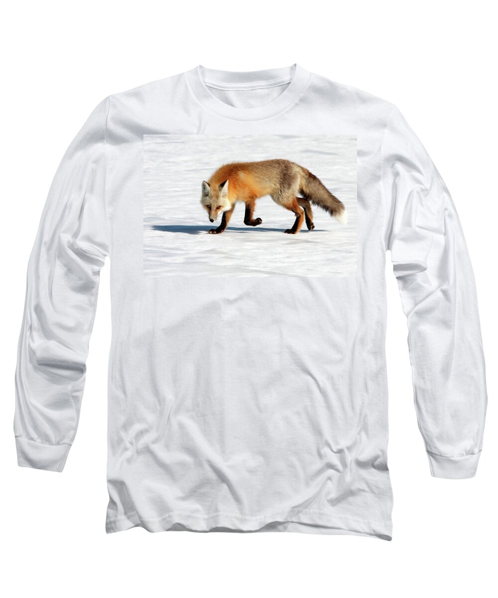 Fox Long Sleeve T-Shirt featuring the photograph Cold spring day by Ronnie And Frances Howard