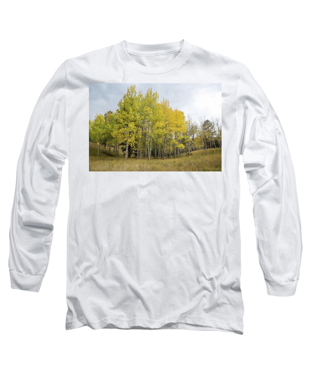 Colorado Long Sleeve T-Shirt featuring the photograph Colorado Aspens in Autumn by Tim Newton