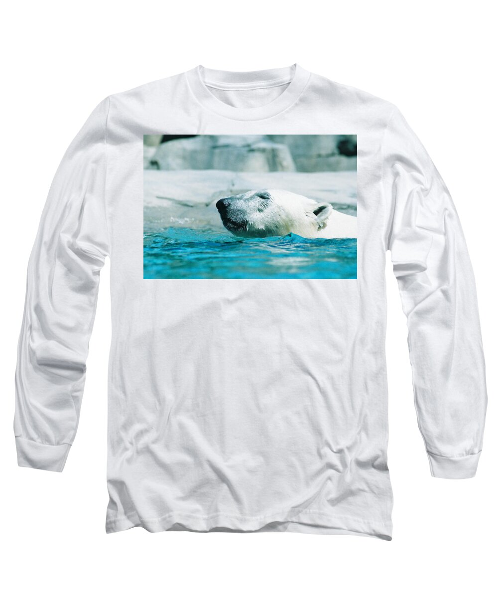 Polar Bear Long Sleeve T-Shirt featuring the photograph Cooling Off by Steve Karol