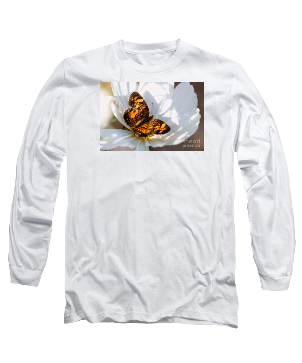 White Long Sleeve T-Shirt featuring the photograph Pearl Crescent Butterfly on White Cosmo Flower by Angela Rath
