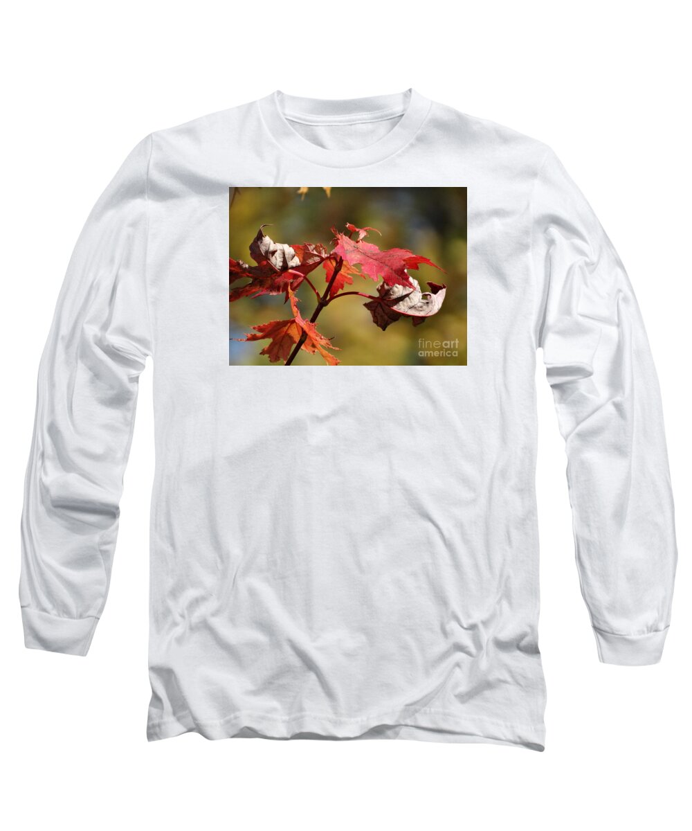 Maple Leaf Long Sleeve T-Shirt featuring the photograph Crimson Fall by J L Zarek
