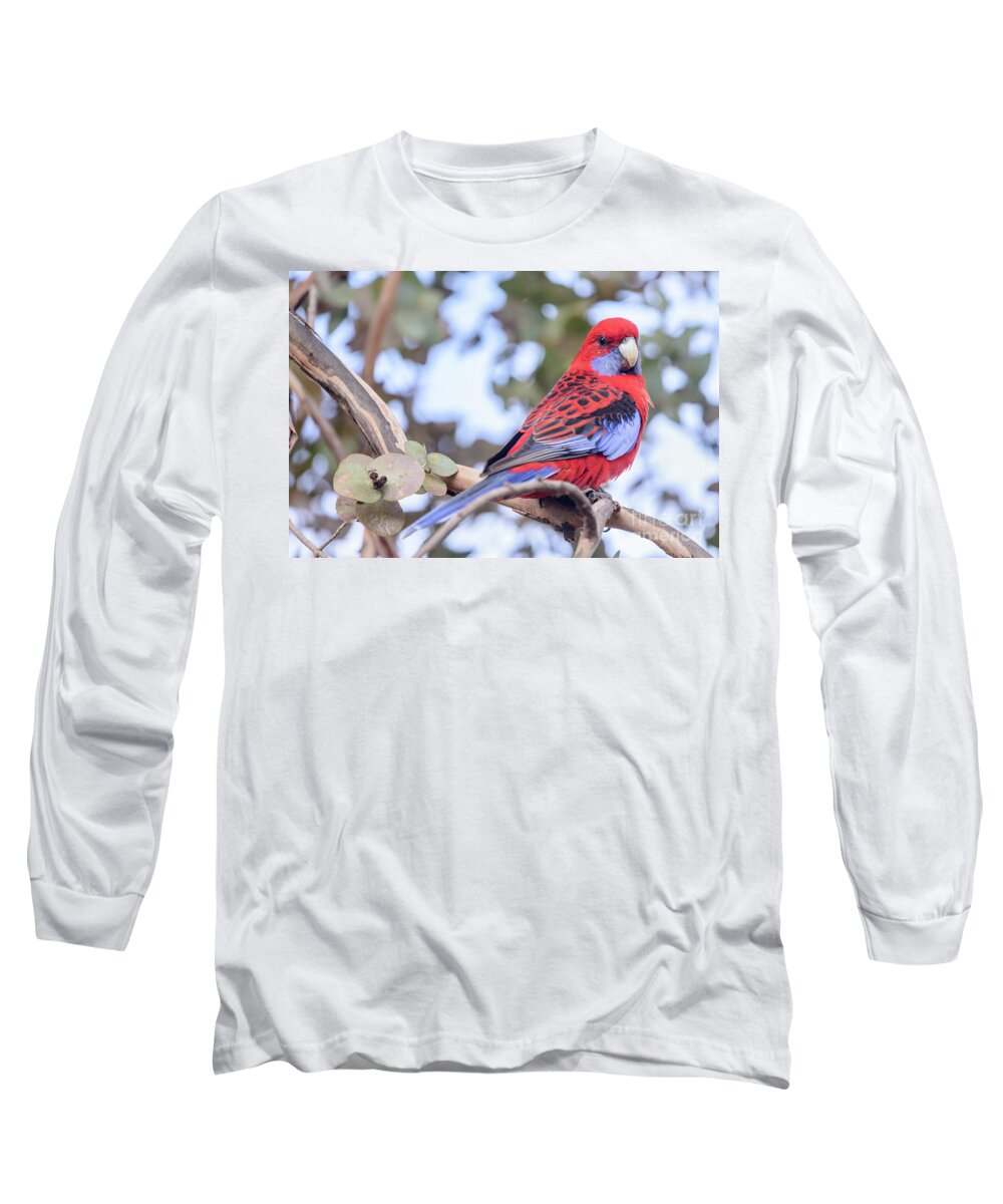 Bird Long Sleeve T-Shirt featuring the photograph Crimson Rosella 03 by Werner Padarin