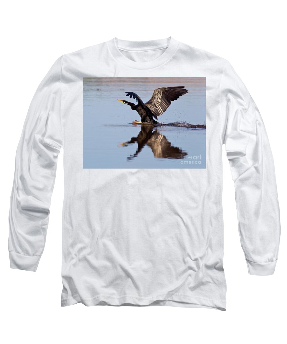Bird Landing On Water Darter River Murray Flying Reflection Reflections Wing Span Long Sleeve T-Shirt featuring the photograph Darter Landing by Bill Robinson