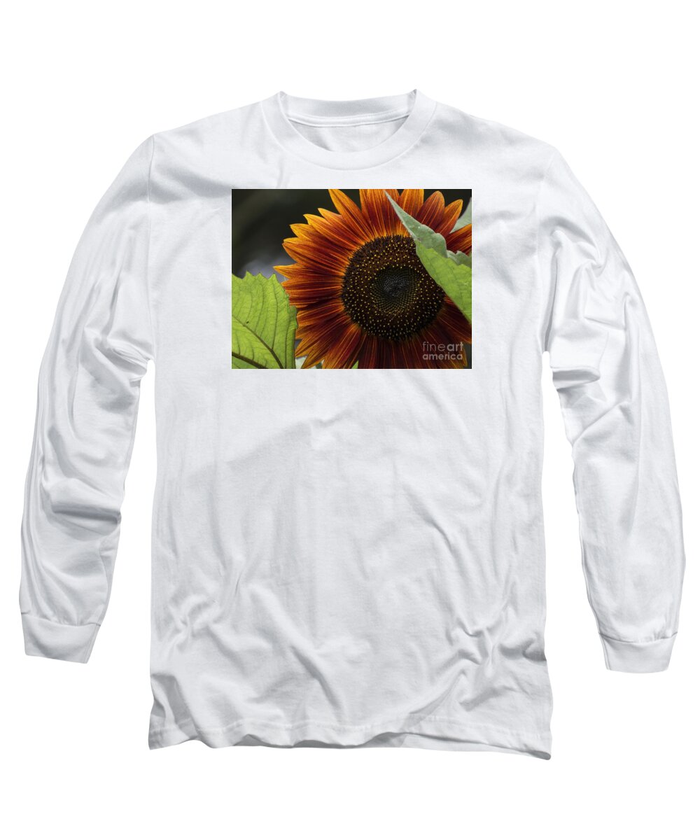 Flowers Long Sleeve T-Shirt featuring the photograph Deep Orange by Lili Feinstein
