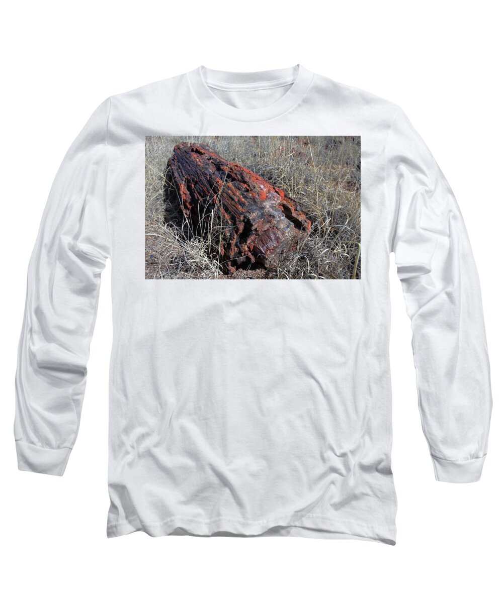 Petrified Forest Long Sleeve T-Shirt featuring the photograph Defying Eternity by Gary Kaylor