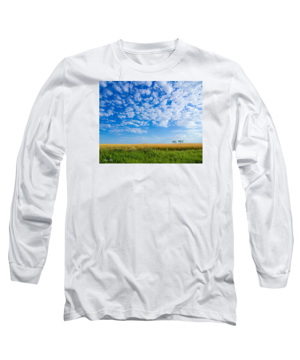 Wheat Crop Long Sleeve T-Shirt featuring the photograph Desert Wheat by Jana Rosenkranz