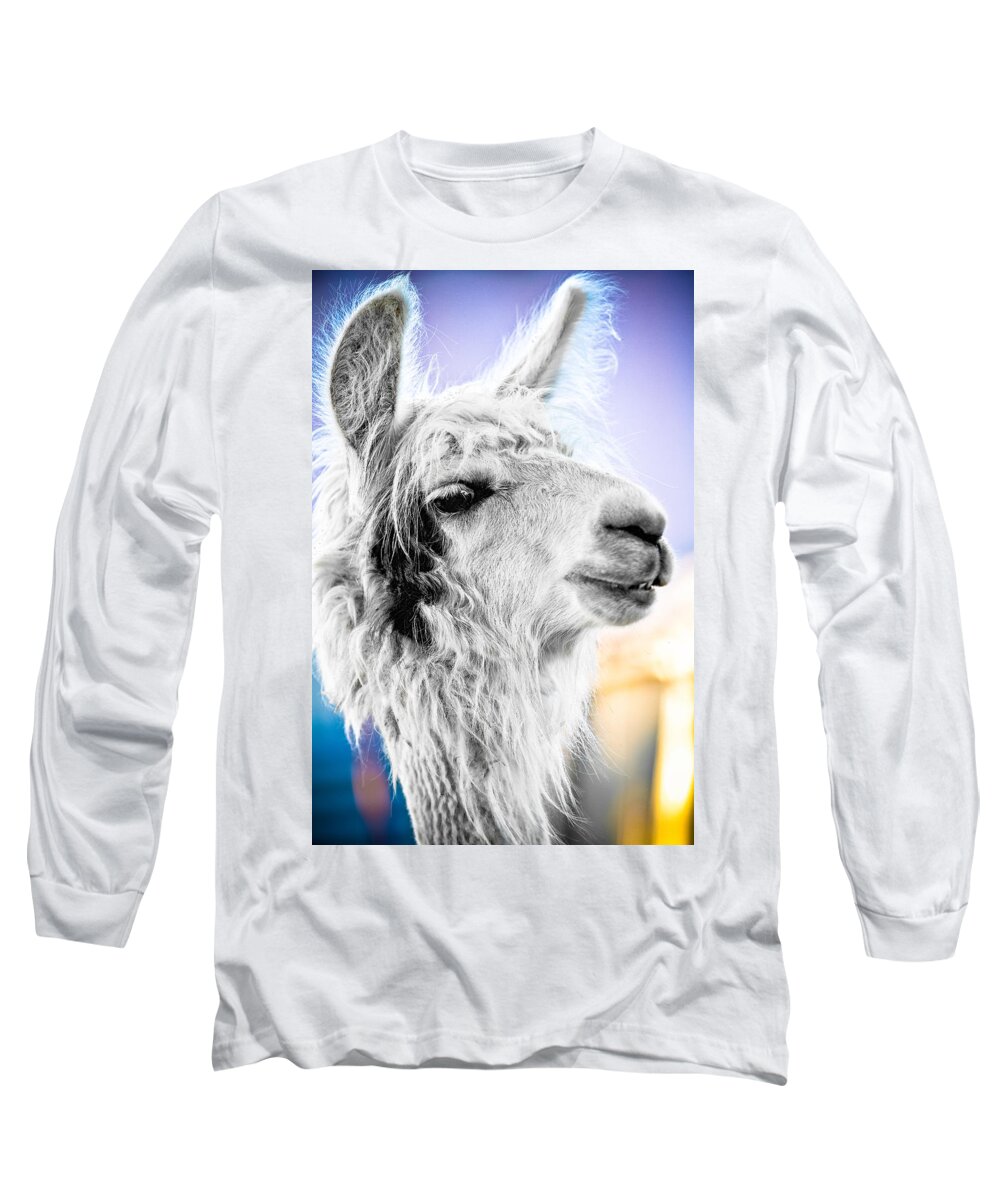 Llama Long Sleeve T-Shirt featuring the photograph Dirtbag Llama by TC Morgan