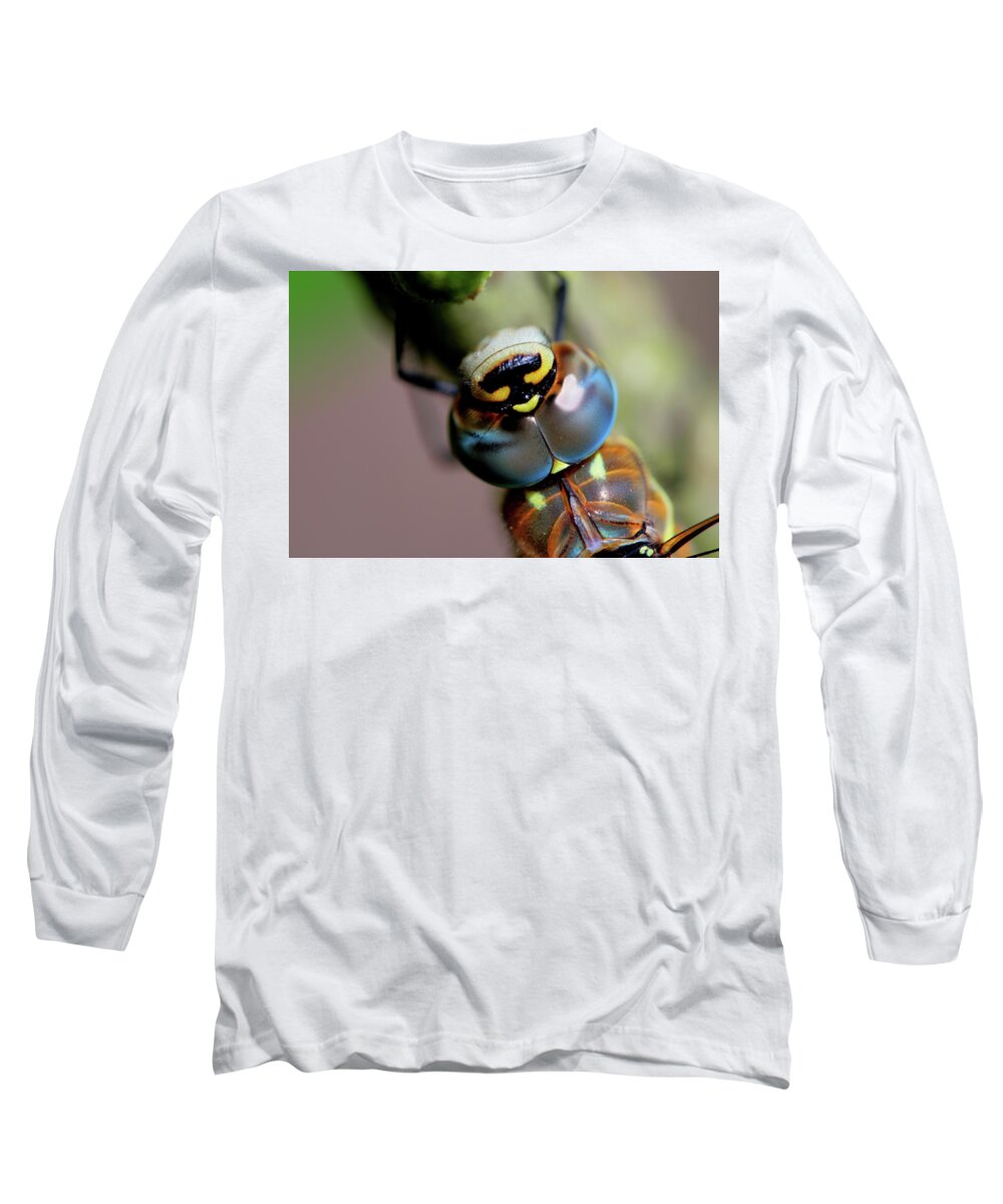 Dragonfly Insect Eye Long Sleeve T-Shirt featuring the photograph Dragonfly Eye by Ian Sanders