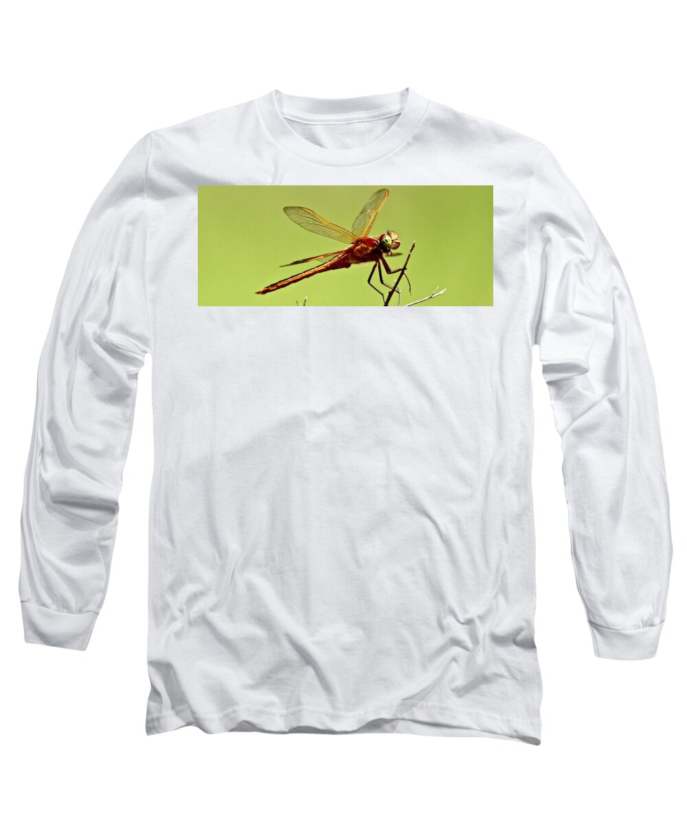 Dragonfly Long Sleeve T-Shirt featuring the photograph Dragonfly is annoyed with me by Shawn M Greener