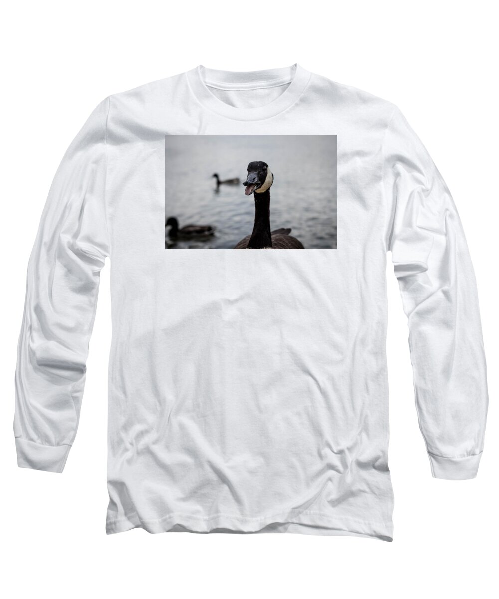 Duck Long Sleeve T-Shirt featuring the photograph Duck Duck Goose by Mike Dunn