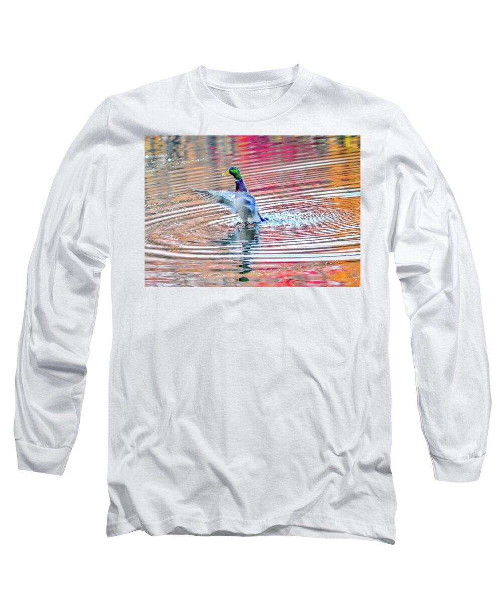 Anas Long Sleeve T-Shirt featuring the photograph Duck on an Autumn pond in the Chesapeake Bay Maryland by Patrick Wolf