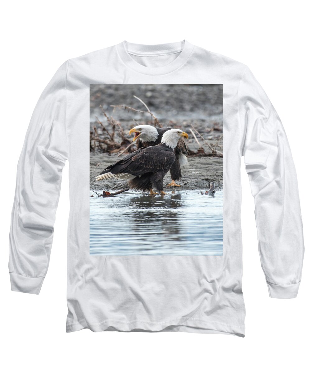 Bald Eagle Long Sleeve T-Shirt featuring the photograph Eagle Pair by David Kirby