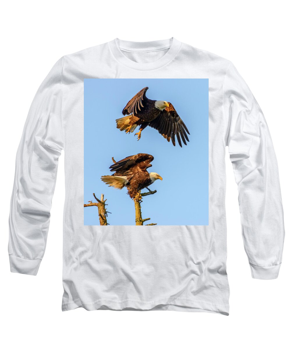 Eagle Long Sleeve T-Shirt featuring the photograph Eagles by Jerry Cahill