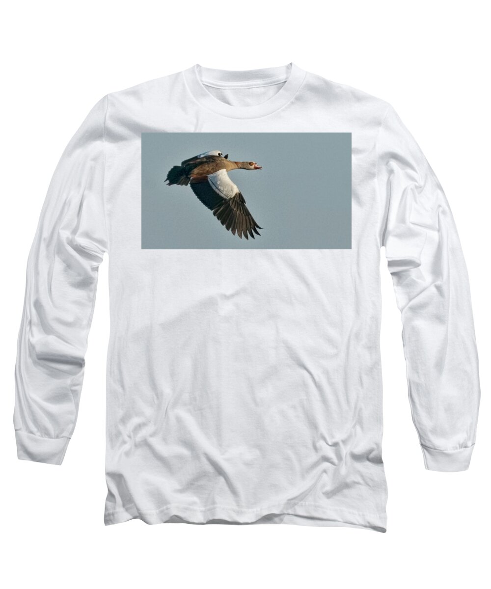 Goose Long Sleeve T-Shirt featuring the photograph Egyptian Goose by Don Durfee