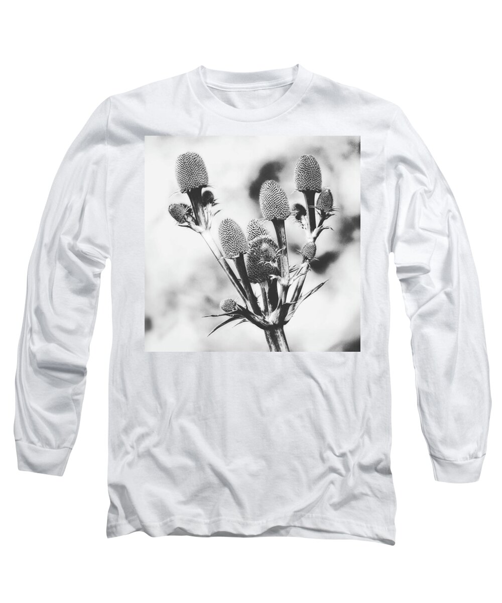 Beautiful Long Sleeve T-Shirt featuring the photograph Eryngium
#flower #flowers by John Edwards