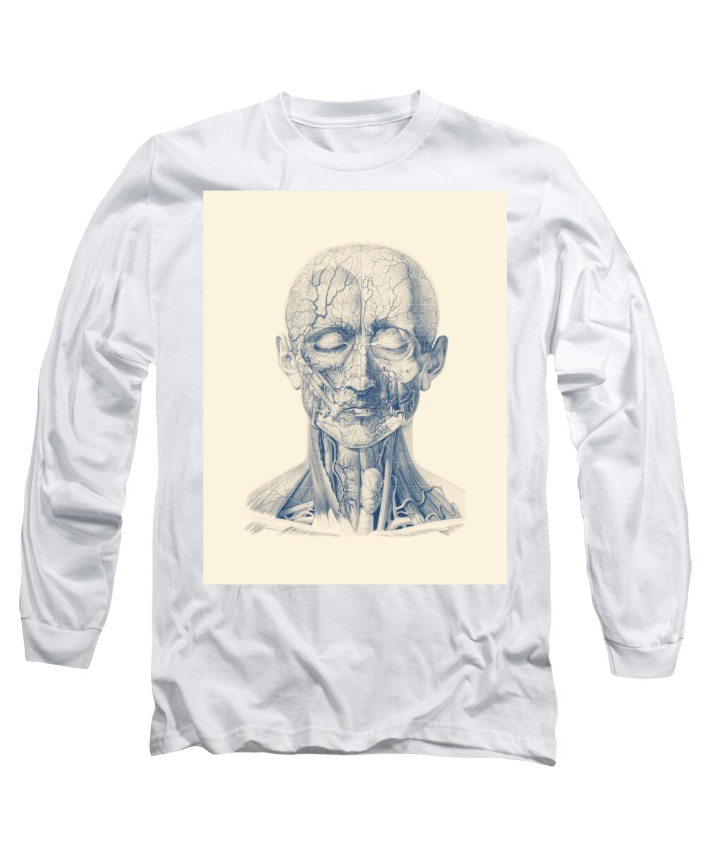 Face Arteries Long Sleeve T-Shirt featuring the drawing Facial Veins and Arteries - Vintage Anatomy Print by Vintage Anatomy Prints