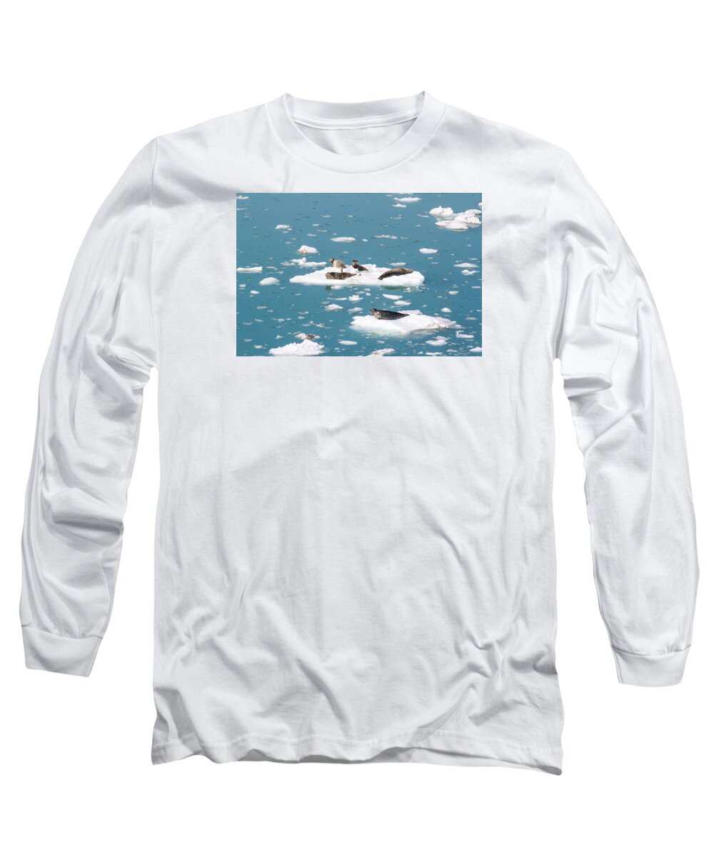 Harbor Seal Long Sleeve T-Shirt featuring the photograph Five Habor Seals on Ice Flows by Allan Levin