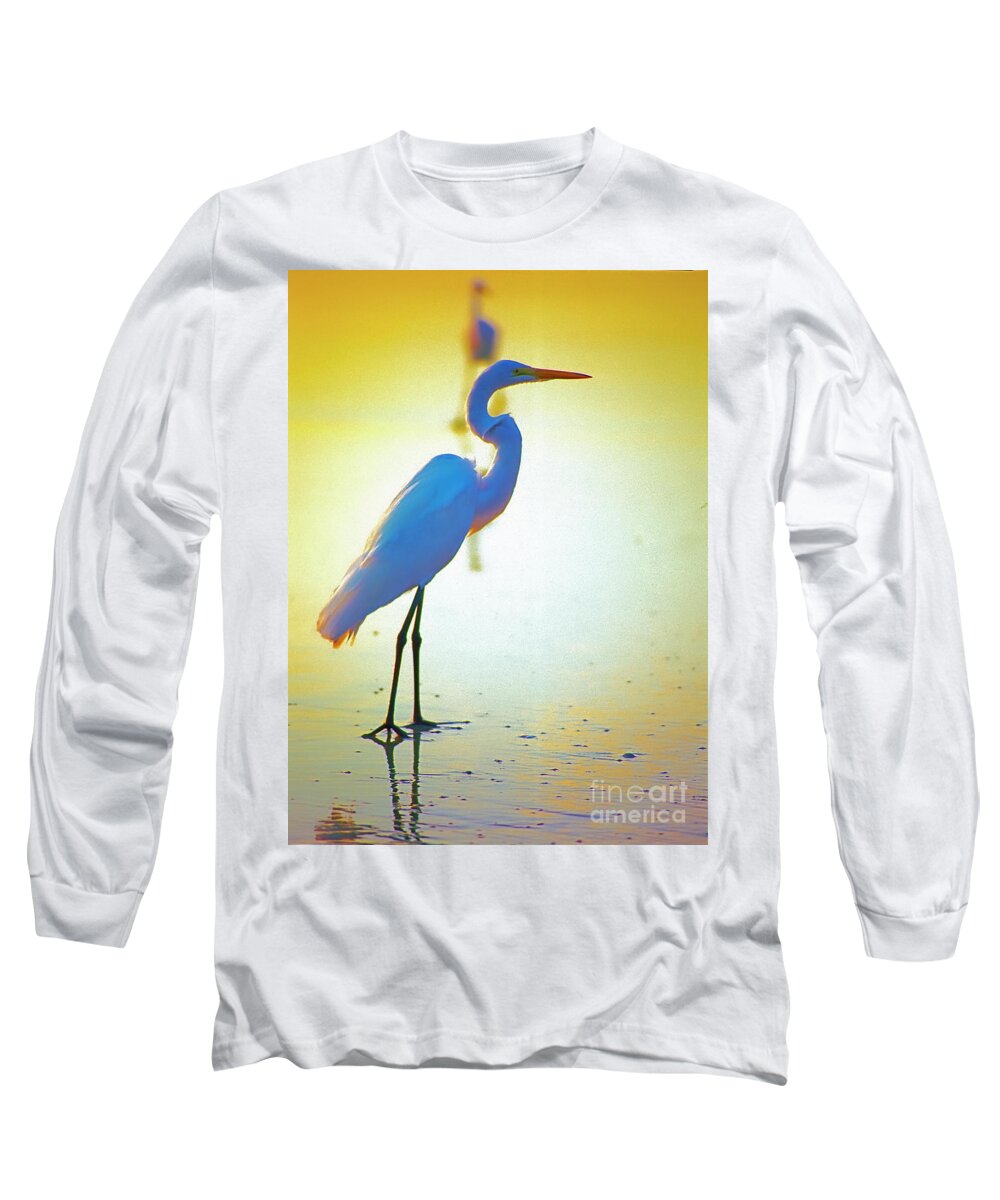 Florida Long Sleeve T-Shirt featuring the photograph Florida Atlantic Beach Ocean Birds by Tom Jelen