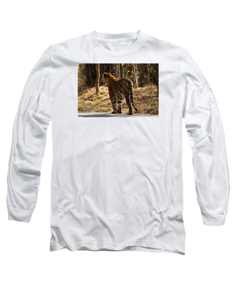 Tiger Long Sleeve T-Shirt featuring the photograph Focused by Ramabhadran Thirupattur
