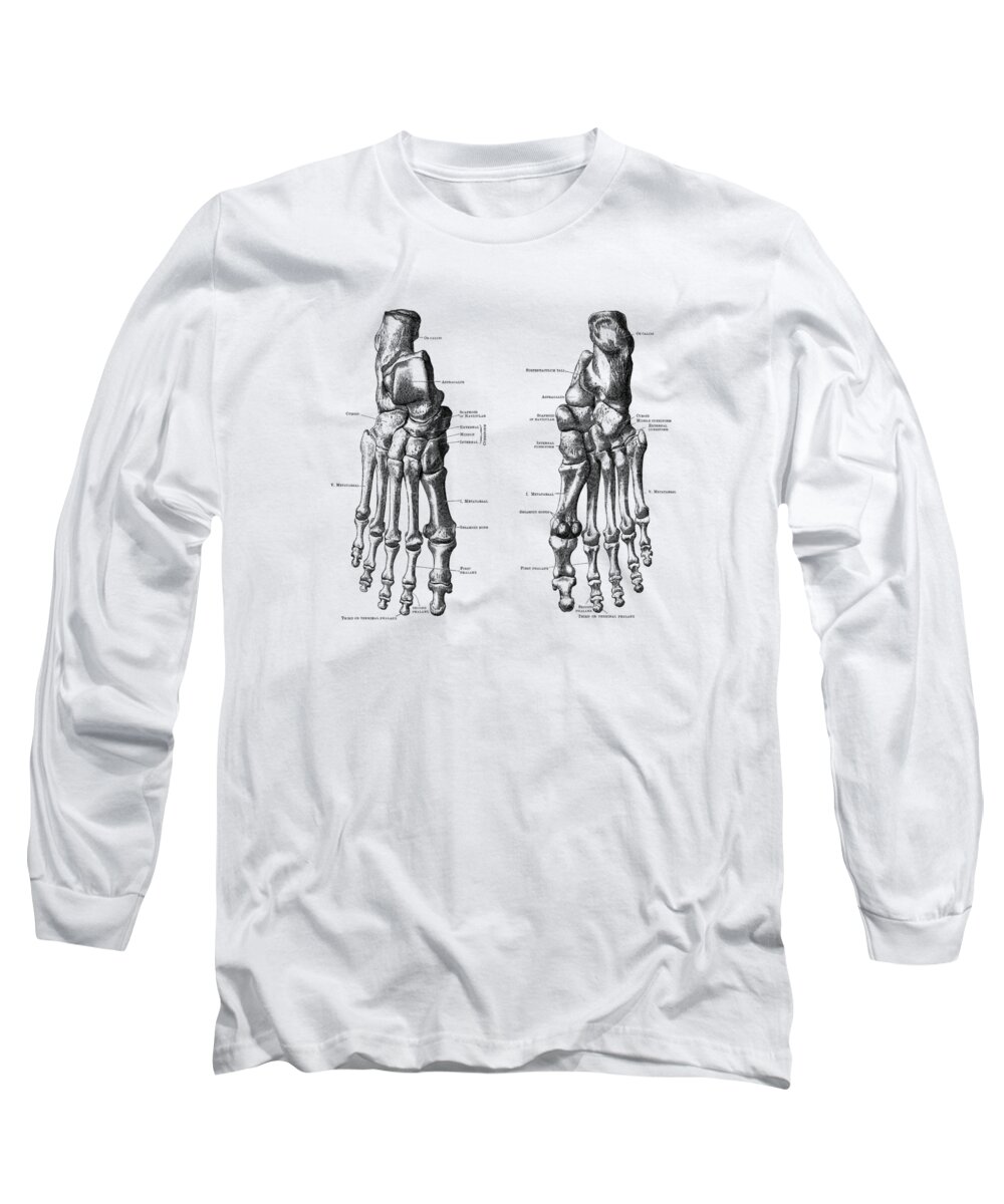 Medical Long Sleeve T-Shirt featuring the drawing Foot and Ankle Skeletal Diagram - Anatomy Poster by Vintage Anatomy Prints